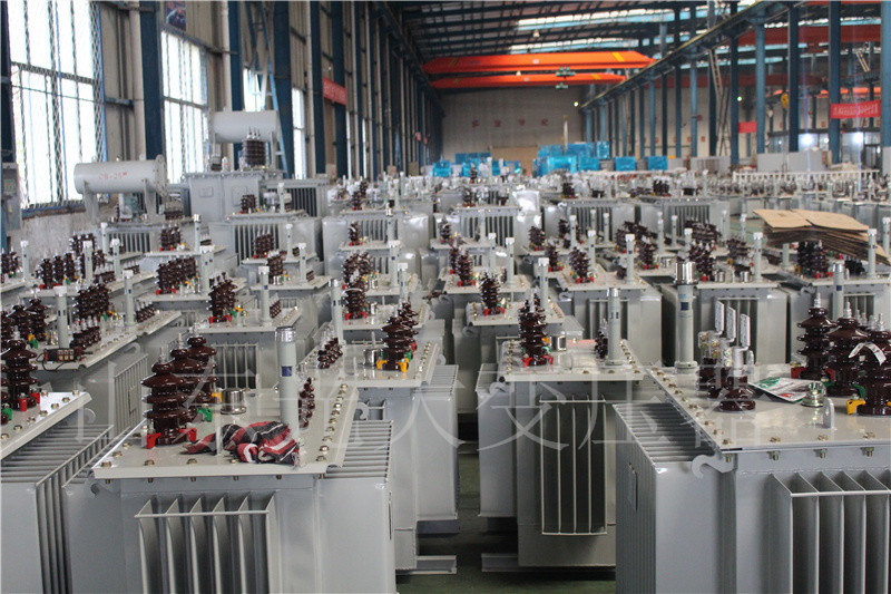 崇明S22-800KVA/10KV