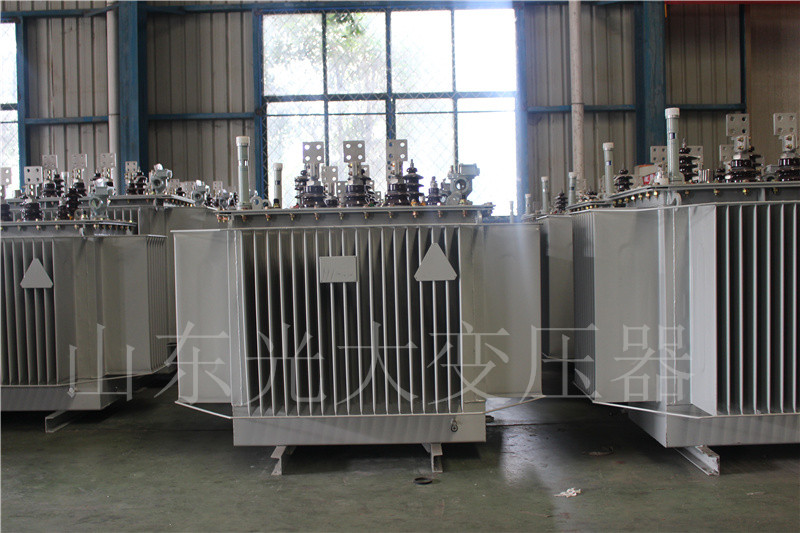 崇明S20-500KVA/10KV